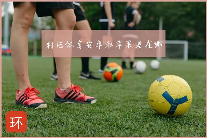 利记体育安卓和苹果差在哪